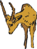 Antelope Looking At The Ground Clip Art